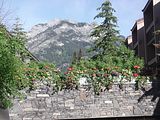 04 - Banff,Lake Louise,Morraine Lake  - IMGA0055